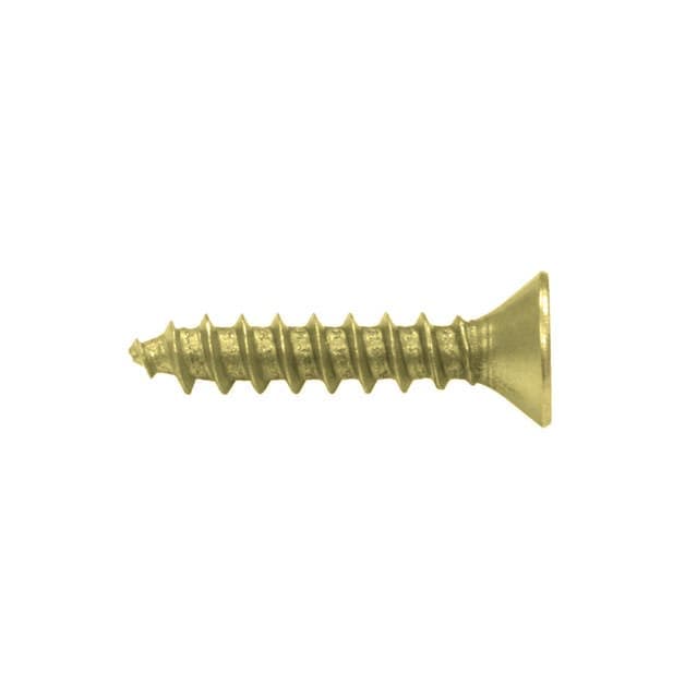 #9 x 1" Hinge Screws