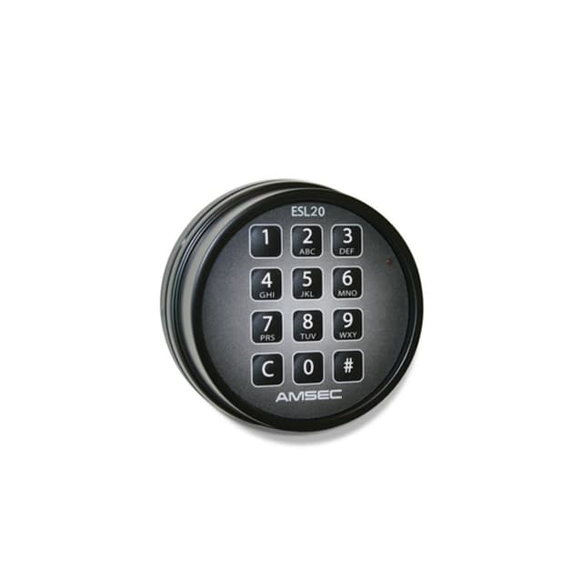 Electronic Safe Lock