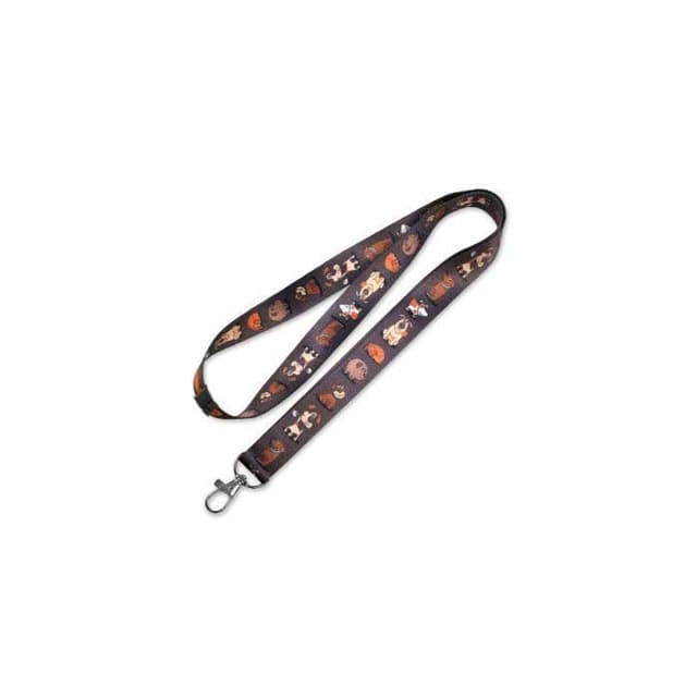 Lanyard