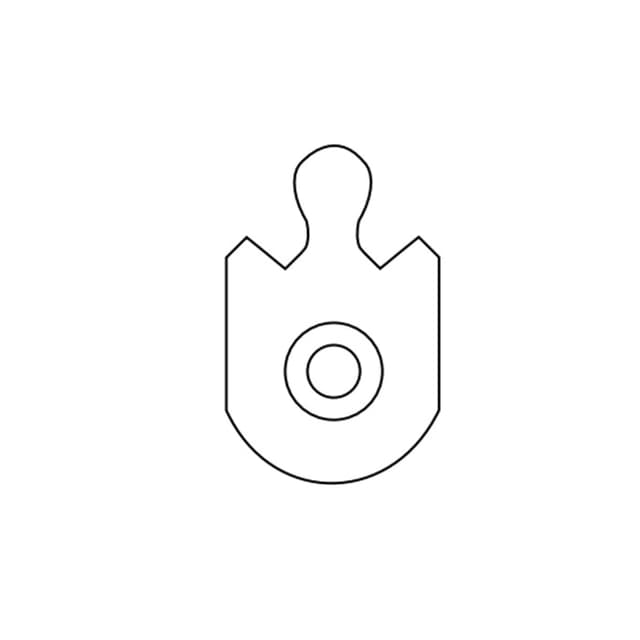 Interchangeable Core Cam