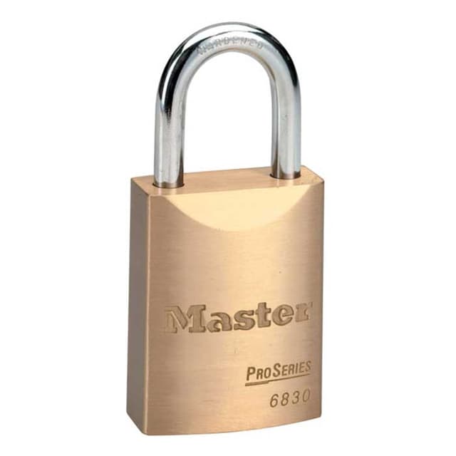 Pro Series Solid Brass Padlock