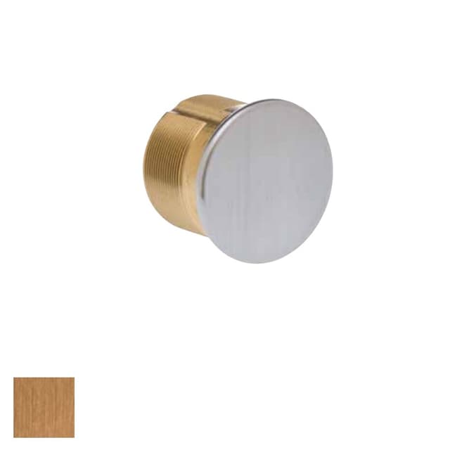 Mortise Dummy Cylinder