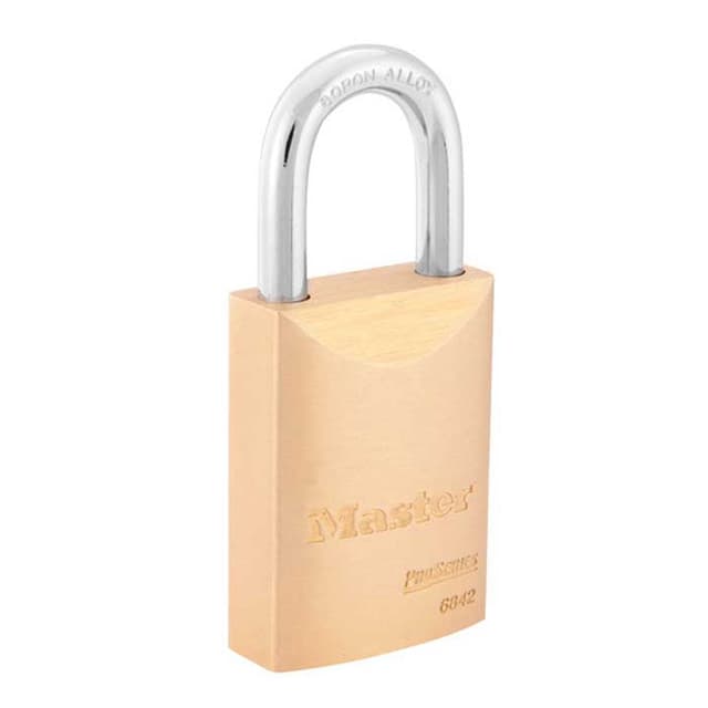 Pro Series Solid Brass Padlock