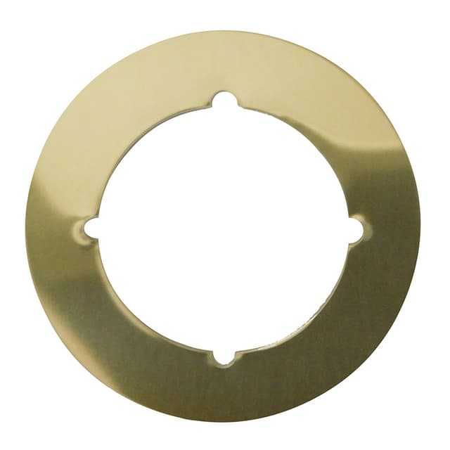 Rose or Deadbolt Scar Plate