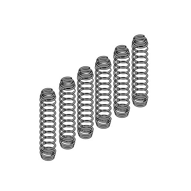 6300 Recore Cylinder Springs ( 100 pcs )