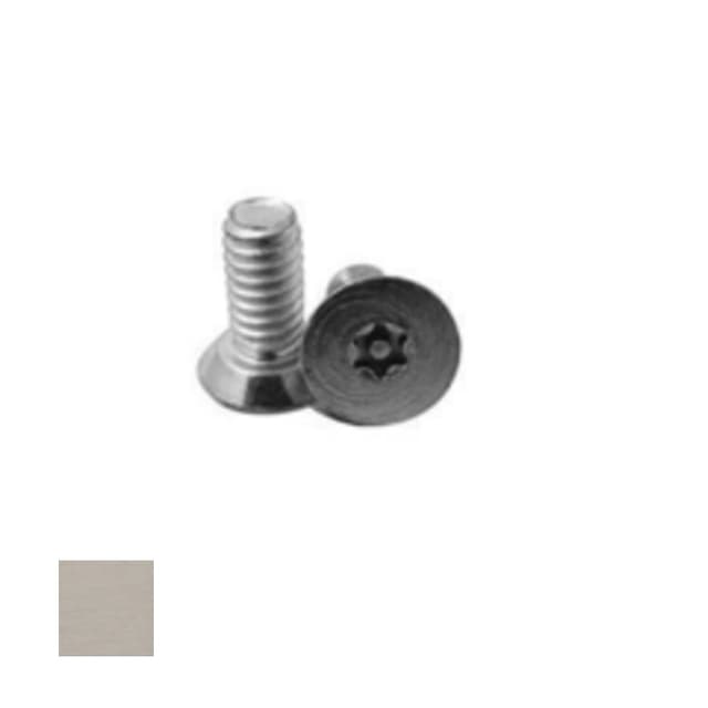 Electric Strike Torx Screws
